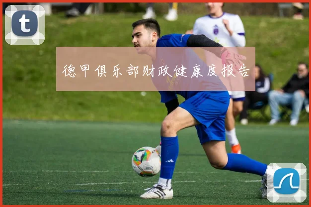 德甲俱乐部财政健康度报告