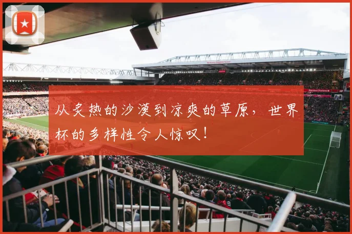 从炙热的沙漠到凉爽的草原，世界杯的多样性令人惊叹！